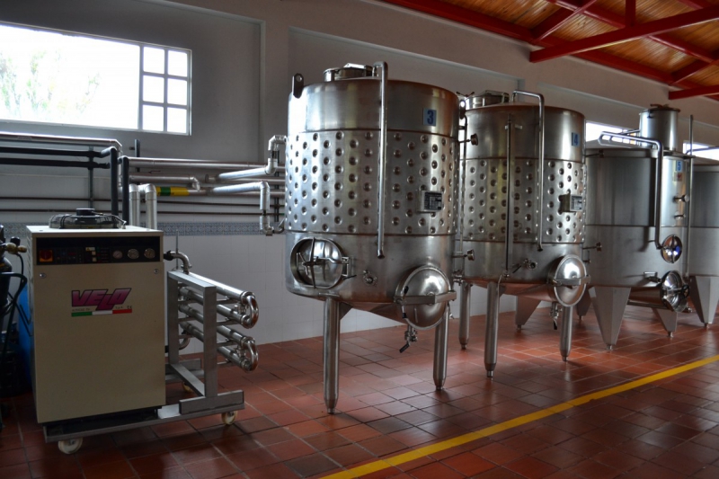 cave-LE BOURGUET-min_wine_production_cantine_winery_drink_alcohol_vine_beverage-902036